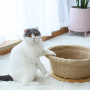 商品图像