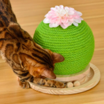 下一个商品图像